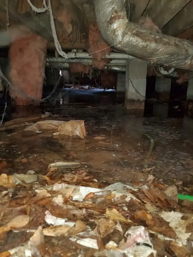 Crawl space flood assessment for Leak Detection & Repair in Dover
