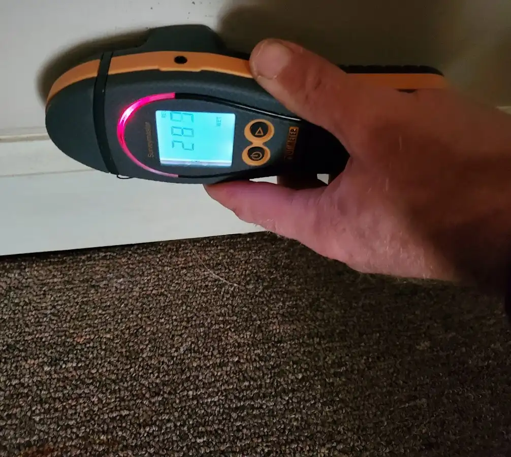 Moisture detection at baseboard during Mold Inspection & Testing in Dover